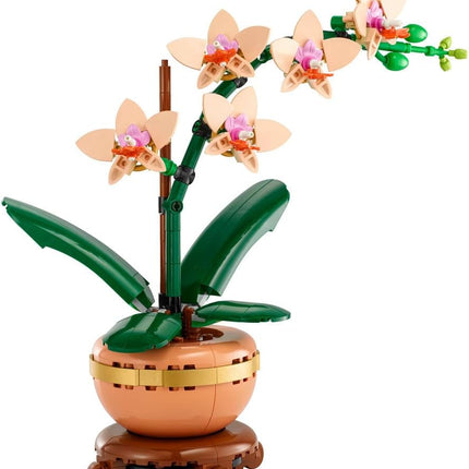 LEGO Botanicals Mini Orchid 10343 Artificial Flowers, Terracotta-Style Flowerpot, Set for Adults, Home Decor, DIY Gift Idea, 274 Pieces