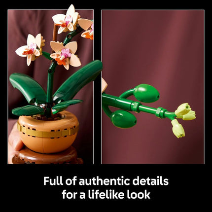 LEGO Botanicals Mini Orchid 10343 Artificial Flowers, Terracotta-Style Flowerpot, Set for Adults, Home Decor, DIY Gift Idea, 274 Pieces