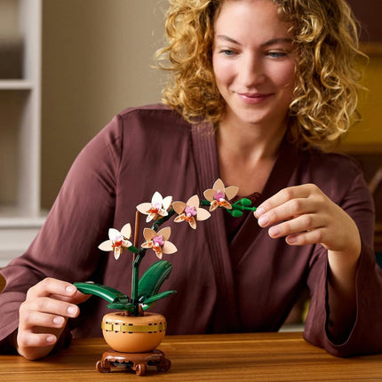 LEGO Botanicals Mini Orchid 10343 Artificial Flowers, Terracotta-Style Flowerpot, Set for Adults, Home Decor, DIY Gift Idea, 274 Pieces