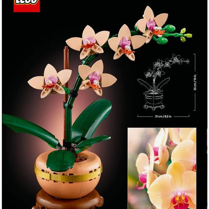 LEGO Botanicals Mini Orchid 10343 Artificial Flowers, Terracotta-Style Flowerpot, Set for Adults, Home Decor, DIY Gift Idea, 274 Pieces